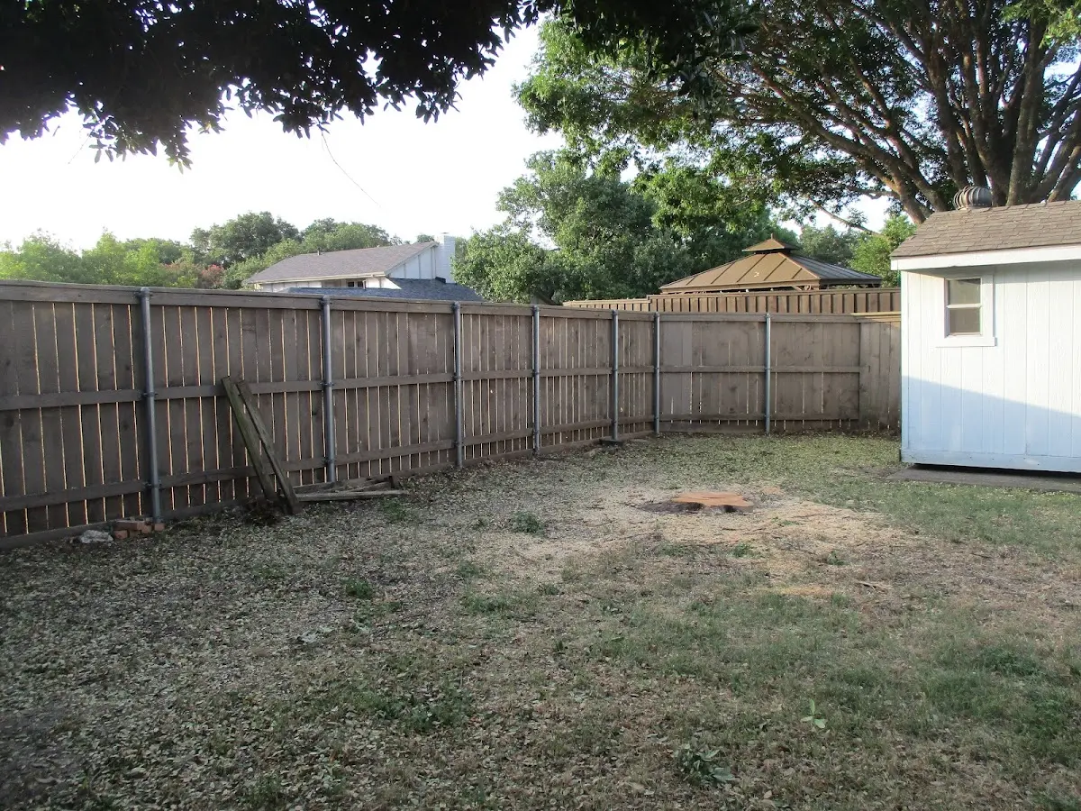 Cleared yard after professional tree removal in Blue Springs